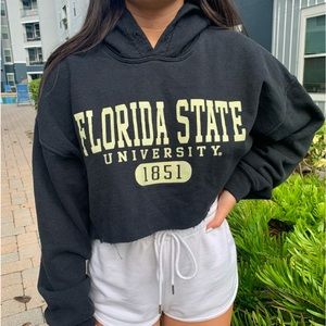 Florida Stats University Cropped Hoodie